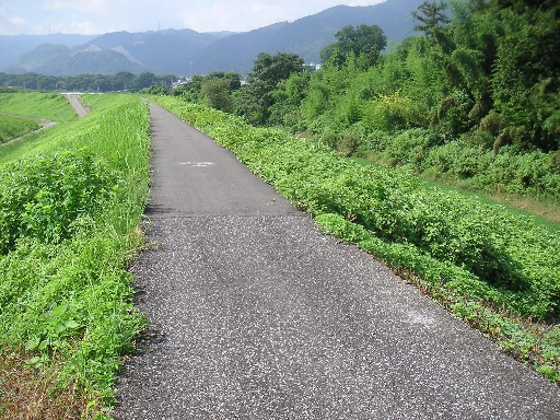 b0088444_22362935.jpg
