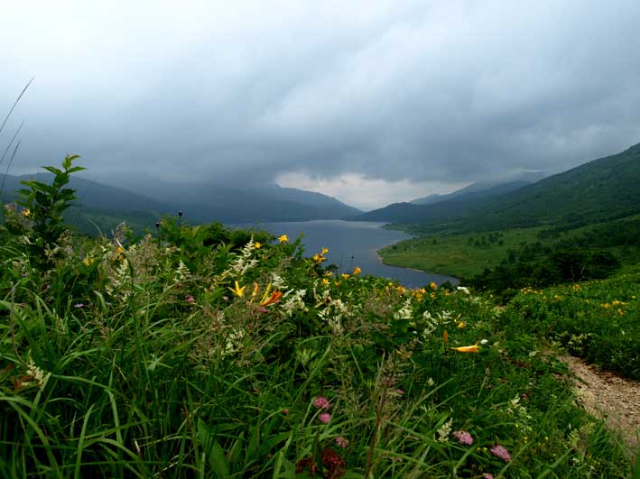 d0149245_0222938.jpg