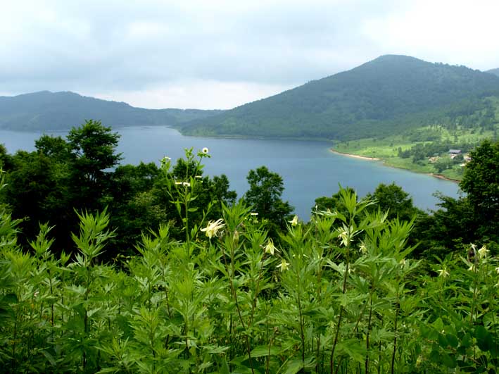 d0149245_022367.jpg