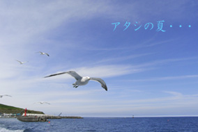 c0149246_22103986.jpg