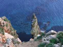 c0149246_22205471.jpg