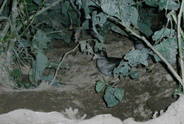 c0149246_22312286.jpg