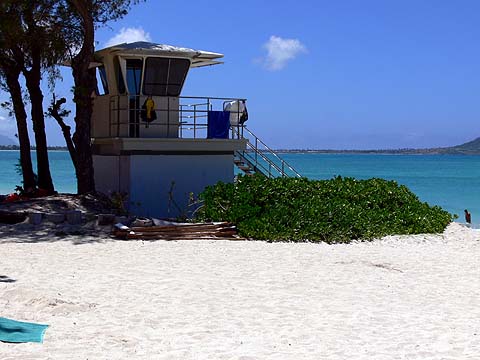 e0050753_90616.jpg