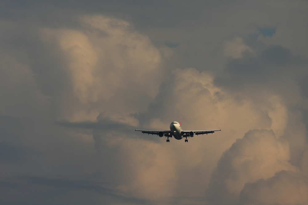 e0104755_1845169.jpg