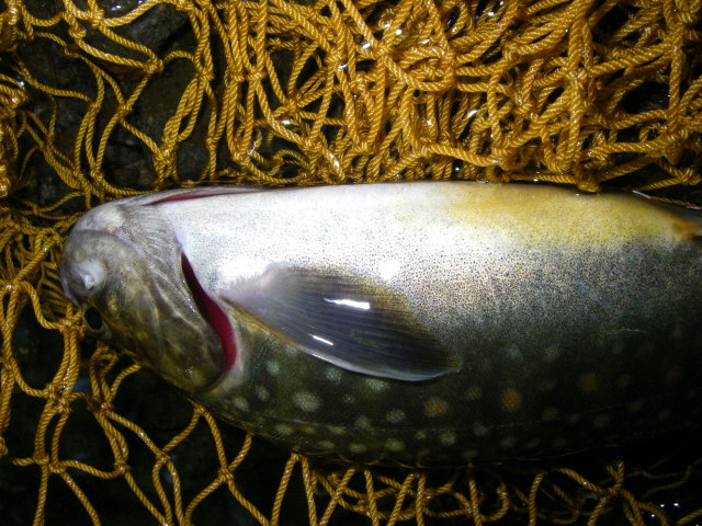 久々のお休み_e0029256_10442546.jpg