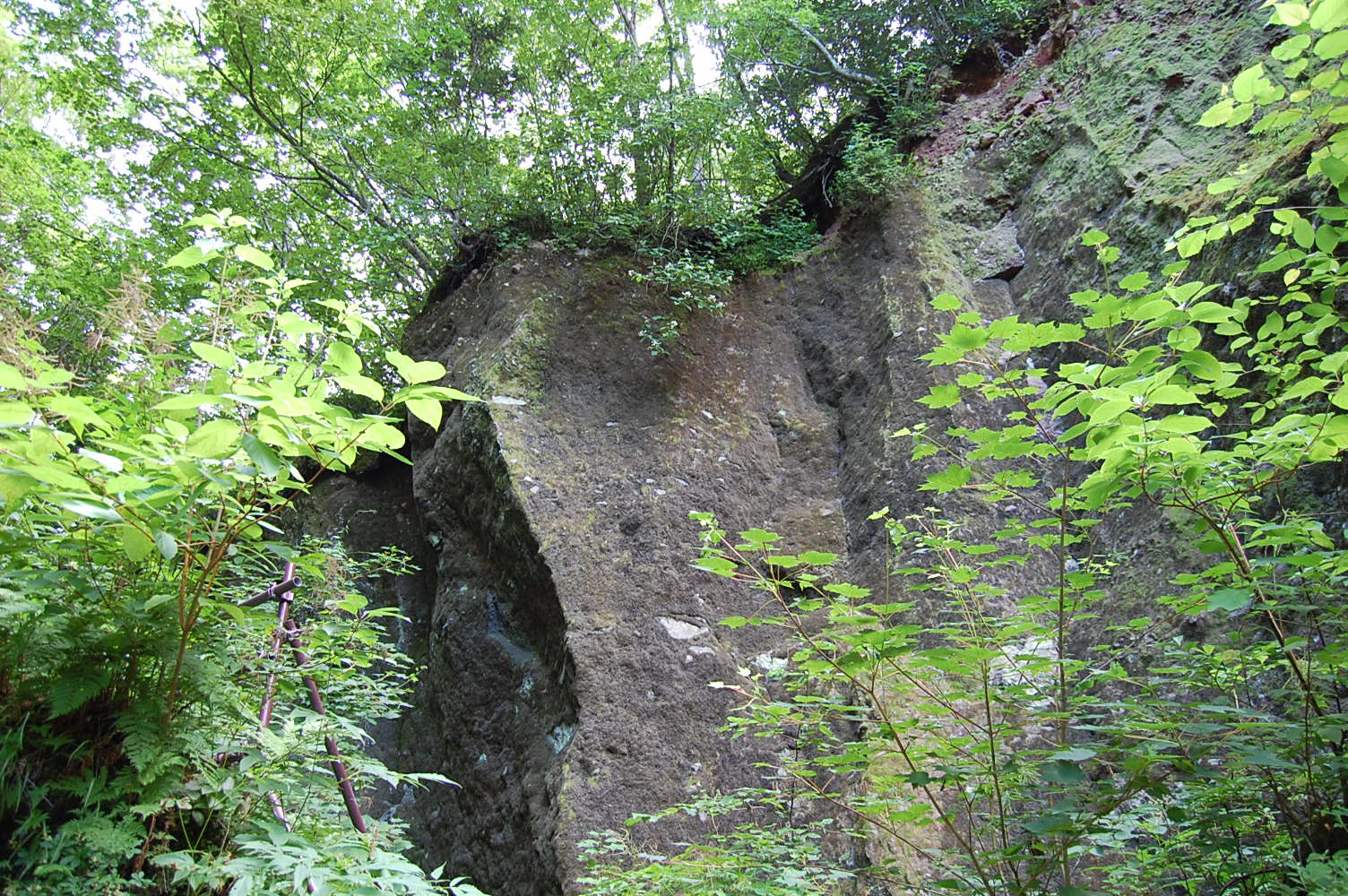 e0120466_15124561.jpg
