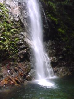 f0071477_07627.jpg