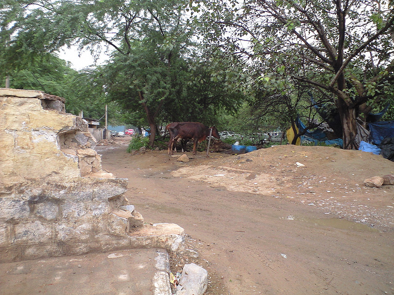d0068879_0255871.jpg