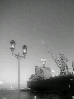 f0100480_84273.jpg