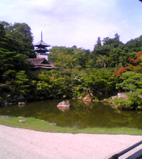 e0060483_20463756.jpg