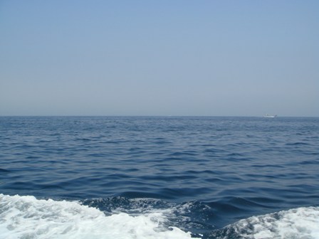 c0139388_11323295.jpg