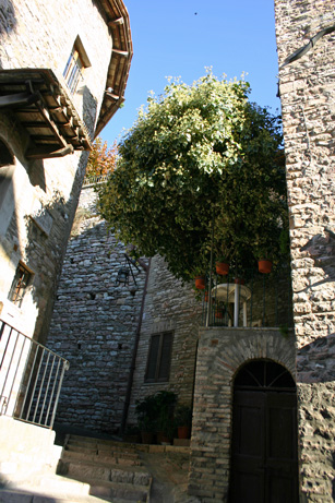 f0166288_23585828.jpg
