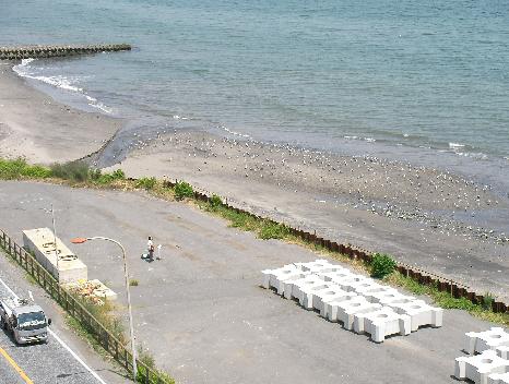海浜パフォーマンス_e0077899_5145529.jpg