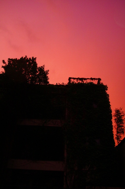c0071611_22454765.jpg
