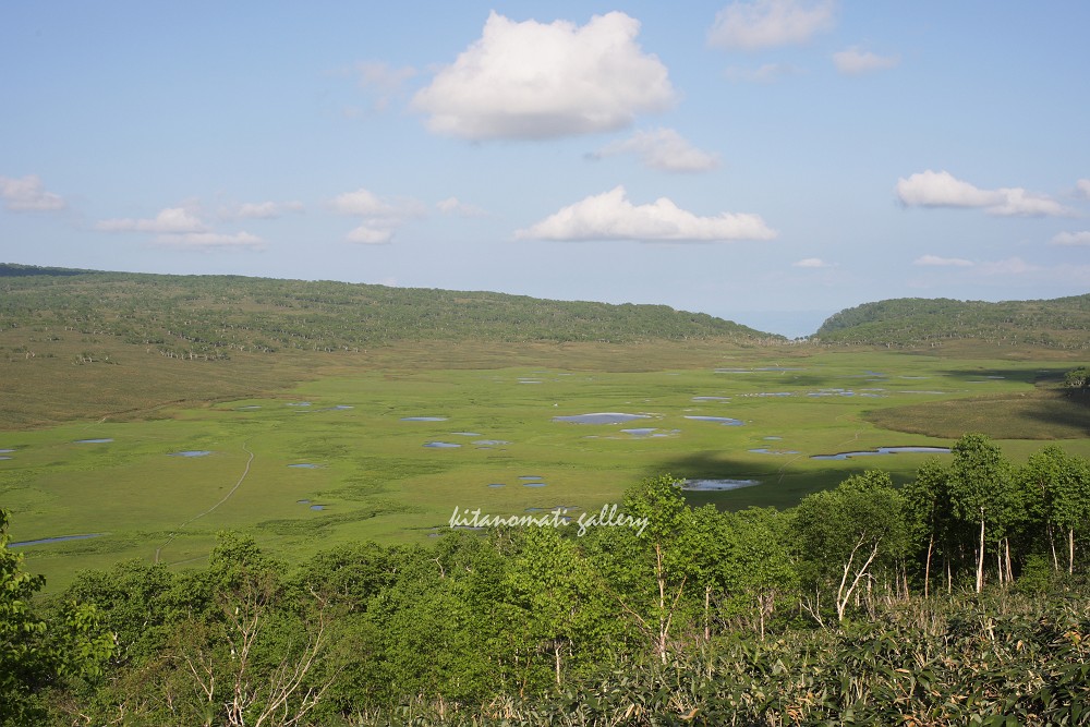 南暑寒岳と雨竜沼湿原　－ お約束の湿原全景 －_c0073613_2350672.jpg