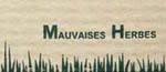 MAUVAISES HERBES_d0139514_15565432.jpg