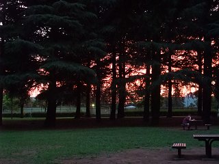 d0143214_22375348.jpg