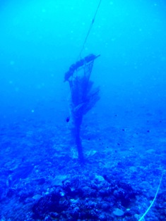 海底に沈んだ伝説の島、シピンに潜った!_a0043520_3592745.jpg
