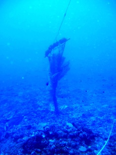 海底に沈んだ伝説の島、シピンに潜った！_a0043520_3592745.jpg