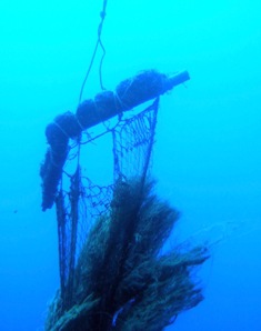 海底に沈んだ伝説の島、シピンに潜った!_a0043520_421989.jpg