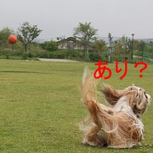 c0028424_1613437.jpg