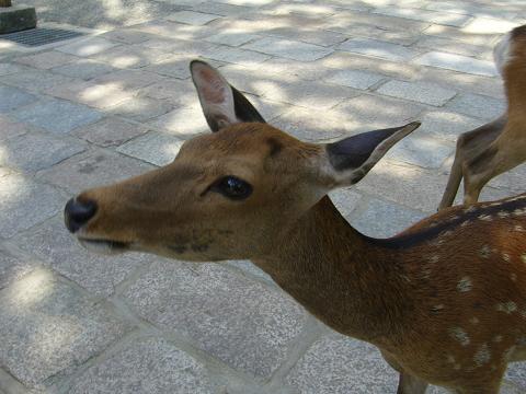 b0138430_20343373.jpg