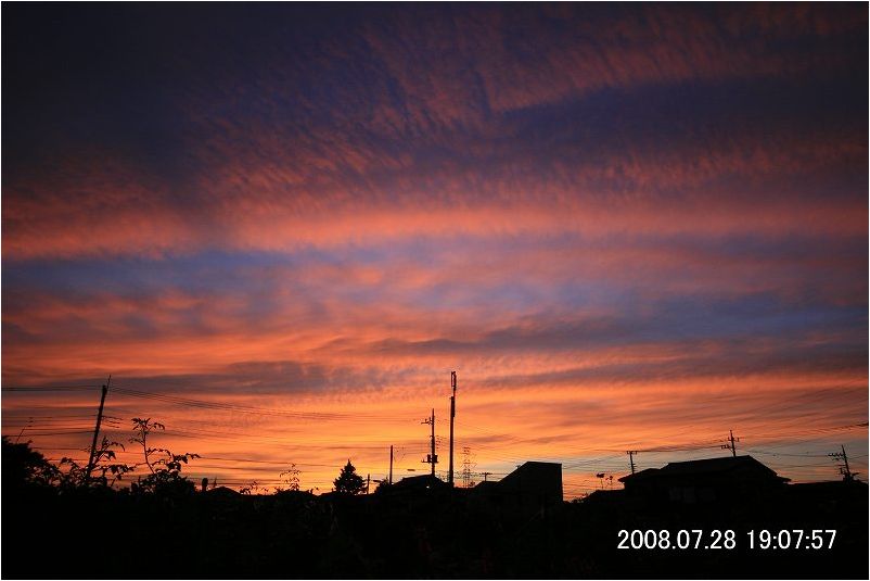 e0052135_21431754.jpg
