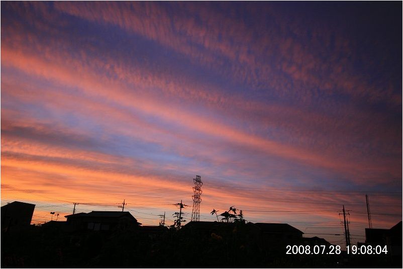 e0052135_21433253.jpg
