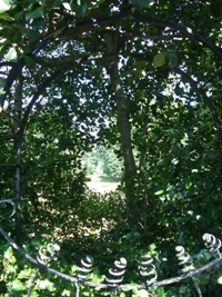 c0138438_99079.jpg