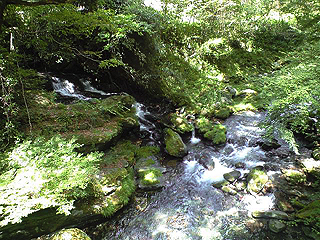 The RIVER RUNS THROUGH_d0052243_11112344.jpg