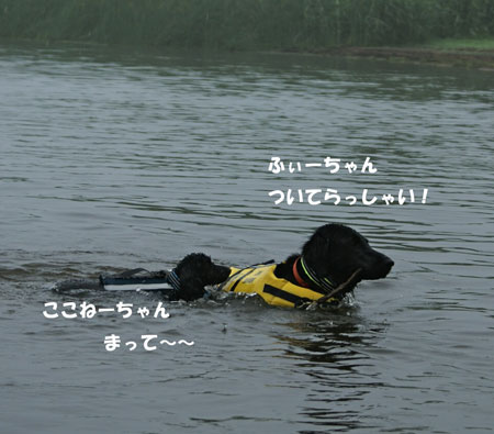 f0018144_13194310.jpg