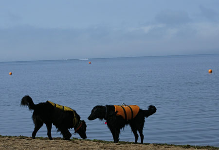 f0018144_1358442.jpg