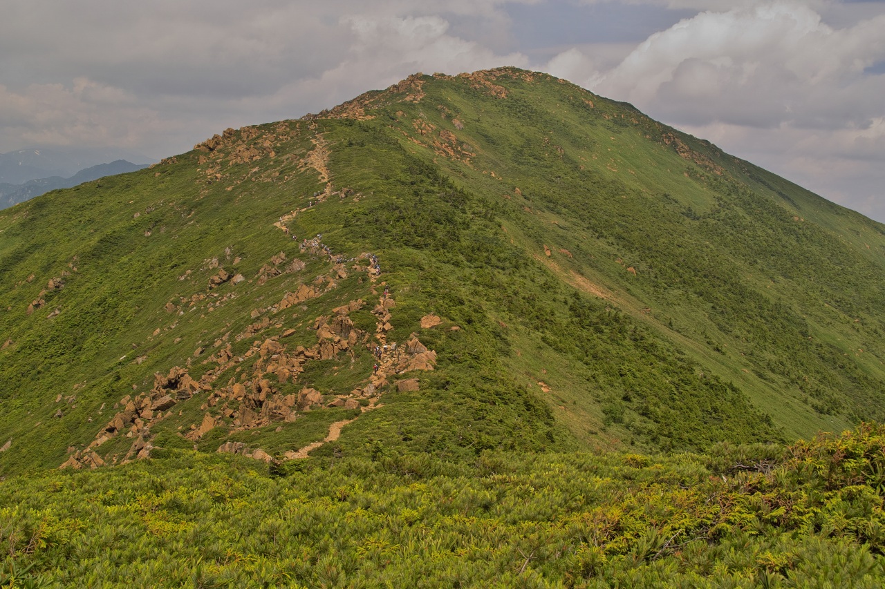 c0008948_2342138.jpg