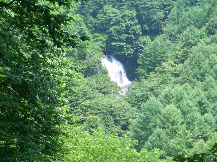 星空セミナーin清里(その2) 2008.7.27_b0002156_23153369.jpg
