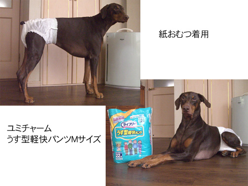 さらさのおむつ レビン日記 With どりさら