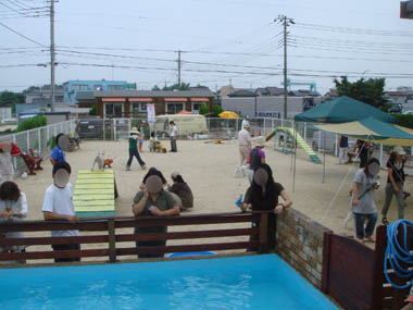 b0091373_02136.jpg