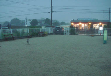 b0091373_07382.jpg