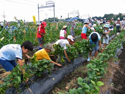 ふれあい菜の花子ども教室開催 ２００８年７月２６日（土）_c0145581_103113.jpg