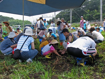 ふれあい菜の花子ども教室開催 ２００８年７月２６日（土）_c0145581_9575769.jpg