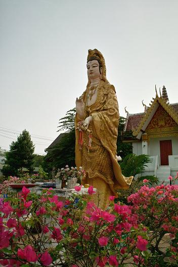 #165 ワット・スアン・ターン(วัดสวนตาล) ~ナーン~_c0039685_15414295.jpg