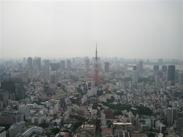 東京タワーより、東京タワーを。_b0133886_15353059.jpg