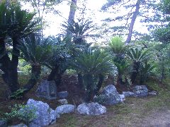 d0148190_22225238.jpg