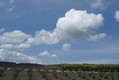d0025894_110463.jpg