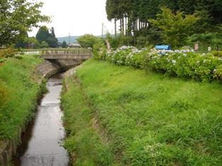 e0143298_14294323.jpg