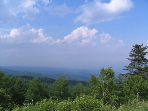 e0135906_13252219.jpg