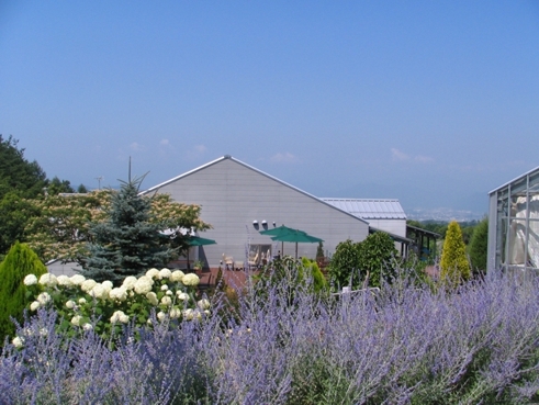 e0135906_133763.jpg