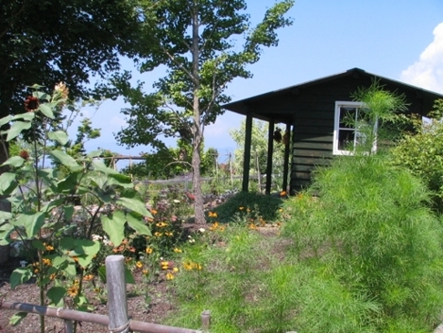 e0135906_1343670.jpg
