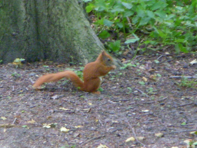 b0089407_1535584.jpg