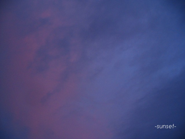 b0118511_1034042.jpg