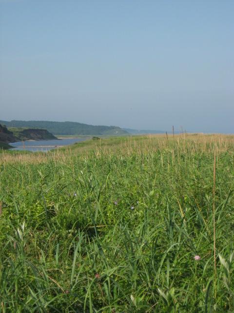 幕別町に行く_d0102413_732771.jpg